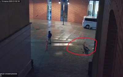 Zaśmiecony teren miejsca publicznego
